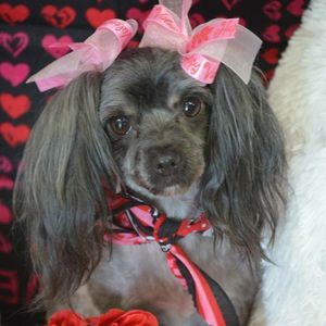 Meet your Posher, Sharona